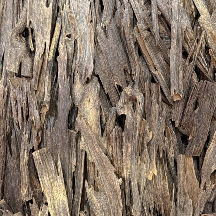 Agarwood Hindi Super Maliki (230001)