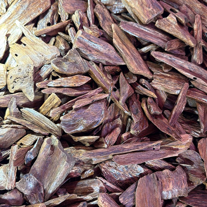 Agarwood Indonesia (Pekanbaru) 61003 (0243)