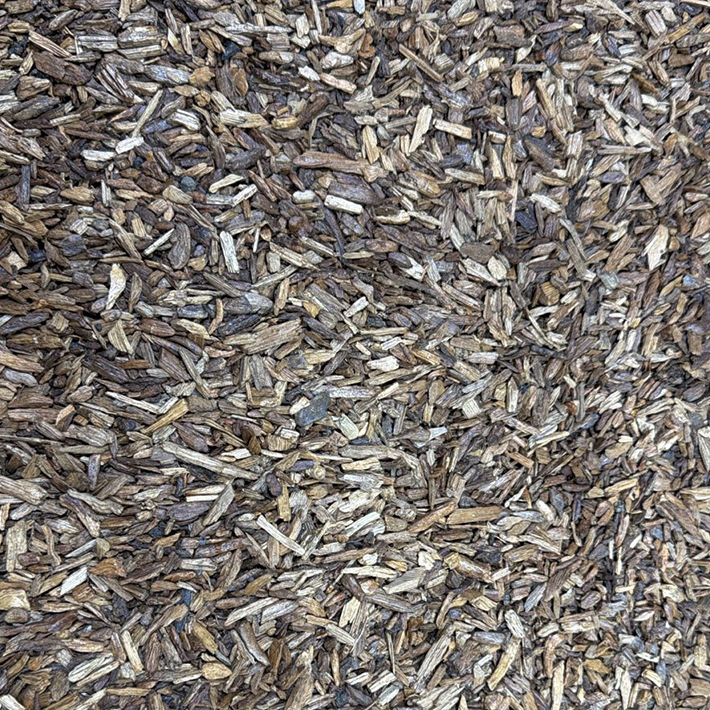 Agarwood Merauke -Small