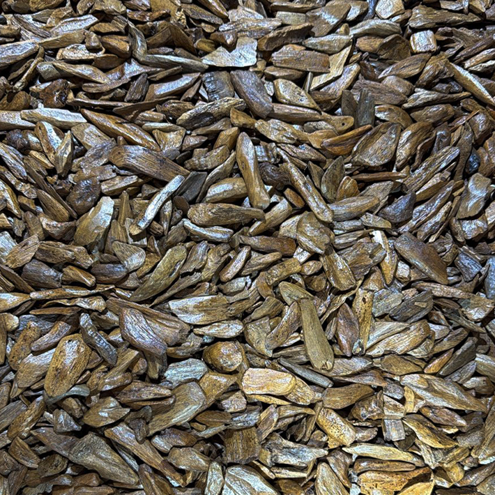 Agarwood Merauke 39002