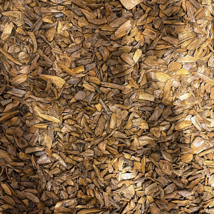 Agarwood Merauke 59001