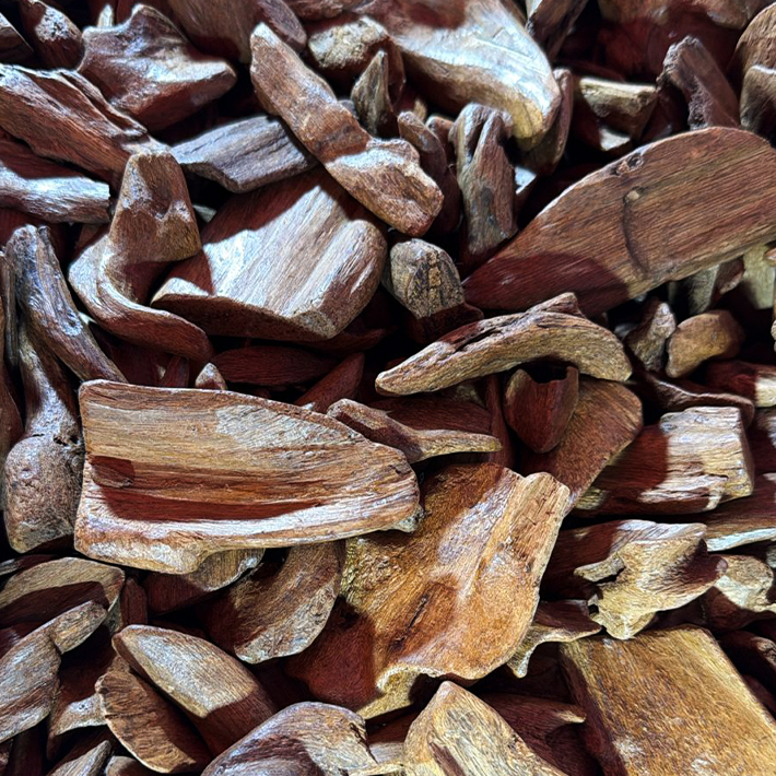 Agarwood Merauke  Super 270001 (00561)